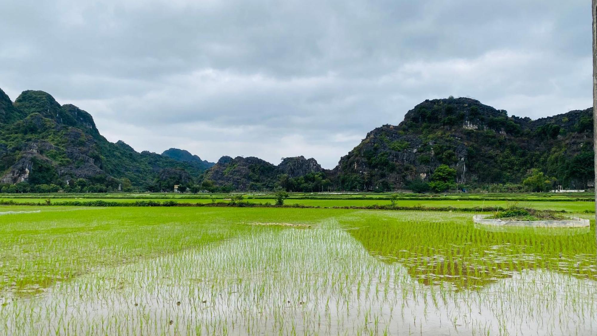 Ohayo Tam Coc Homestay Ninh Binh Luaran gambar