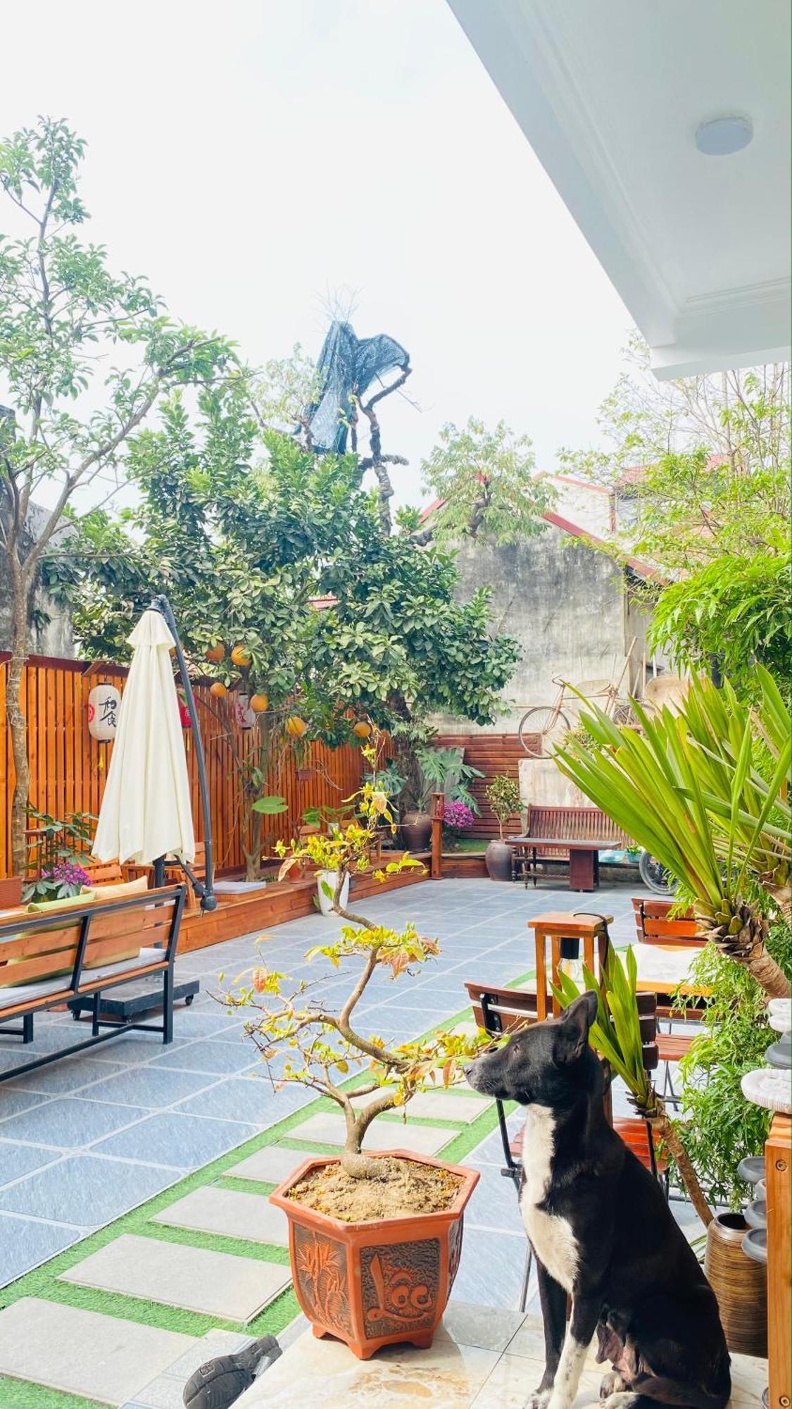 Ohayo Tam Coc Homestay Ninh Binh Luaran gambar